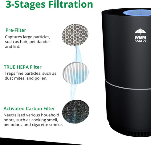 Air Purifier for Home - Black | WBM SMART